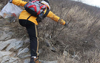 Stainless Steel Trash Grabber and Litter Picker Tool